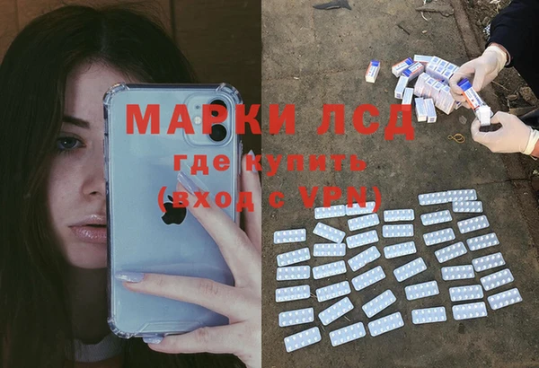 стаф Абинск