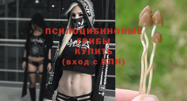 стаф Абинск