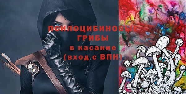 индика Алексеевка