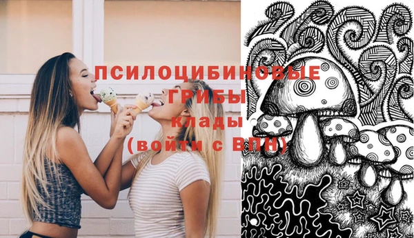 кристаллы Абаза