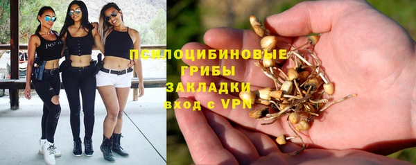 стаф Абинск