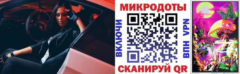 купить закладку  Киренск  Галлюциногенные грибы мухоморы 